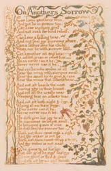 Lieder der Unschuld, Platte 24, Über fremdes Leid (Bentley 27)